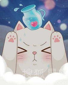 12星座的冰桶挑战内心戏7057690星座频道图片库大视野搜狐