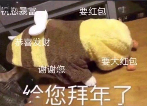 一些比较有趣的拜年表情包