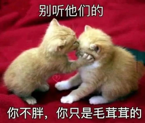 各类沙雕表情包大全