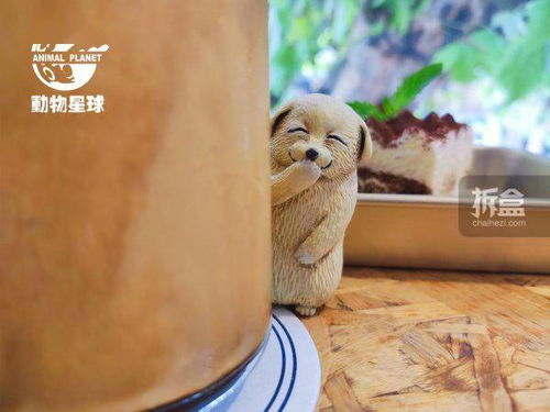 动物星球沙雕系列偷笑狗潮玩搞怪表情包摆件