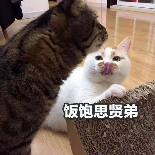 小五趣享嘿嘿,被看穿了吧