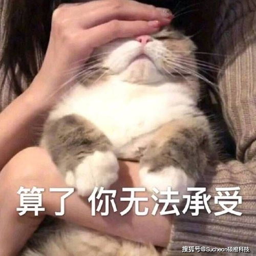 成本相差5384倍,看spacex如何用工业器件逆袭航天器件