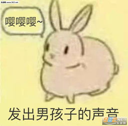 兔子发出声音是什么梗兔子发出声音的表情图下载乐游网游戏下载