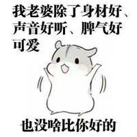 哄老婆搞笑表情包微信头像图片大全