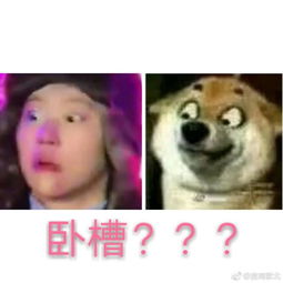 超爆笑窦靖童被冻成了表情包,个性十足的她如今活成了段子手