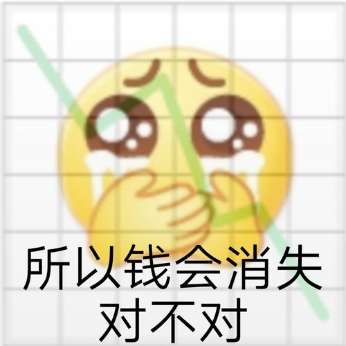 沙雕表情包所以钱会消失对不对