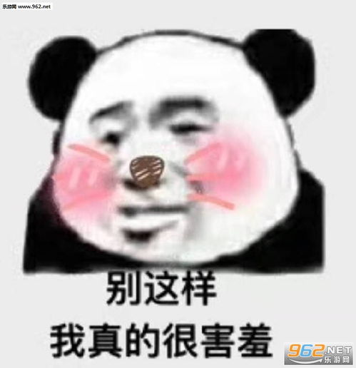 你的四级头兄弟表情包网恋选我我超甜表情包下载乐游网游戏下载