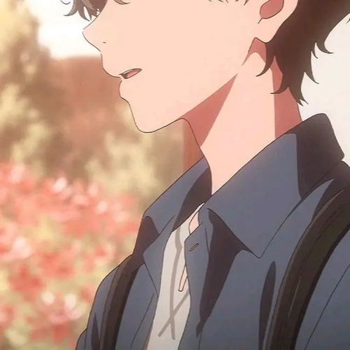 好看的动漫男头