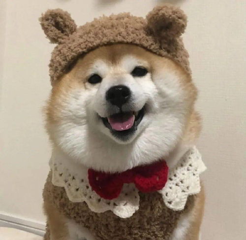 搞笑表情头像情头