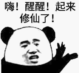 熬夜党专用熊猫头表情包我熬夜,我快乐