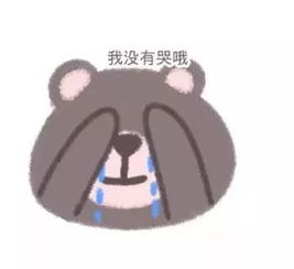 软萌小熊表情包我怎么又瘦了