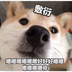 我搞笑的表情包
