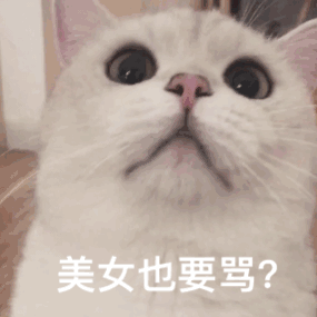 可爱搞笑女生必用的表情包