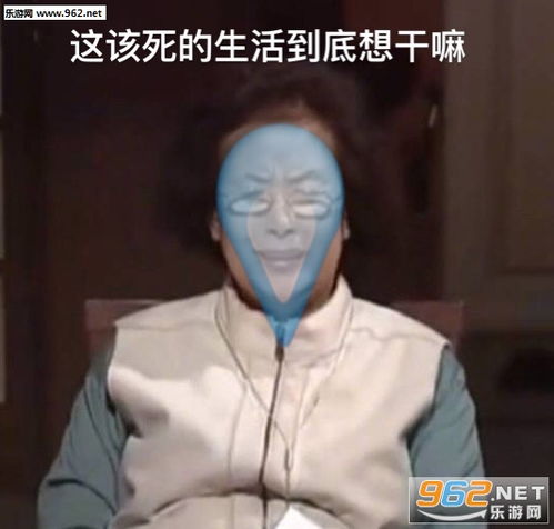 得逞后的微笑表情包图片罗文姬女士表情包下载乐游网游戏下载