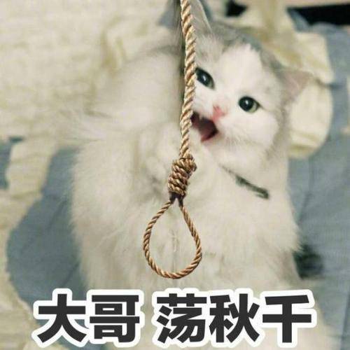 你是如何成为超级学霸的