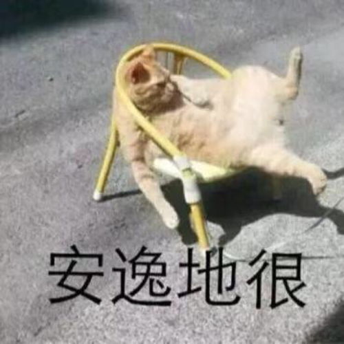 搞笑可爱表情包