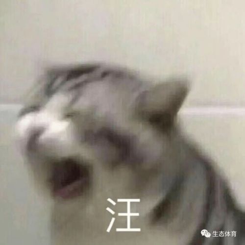 为啥说马保国是个商业鬼才看看他送儿子出国,割老外韭菜的操作