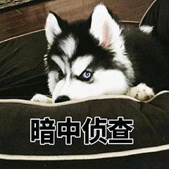 哈士奇表情图片二哈搞笑图片表情带字好不好