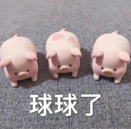 今日搞笑表情包11.2
