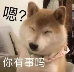 并不想因为一件小事就开始怀疑自己