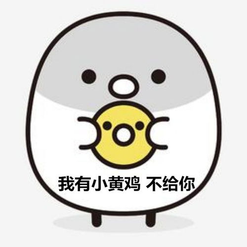 搞笑表情包萌到发笑,帅气登场