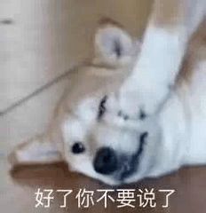 来了下半年公务员考试备考有安排