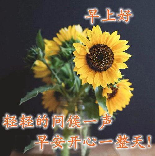 8张不用打字就可以聊天的早上好表情图片唯美的早安问候祝福动态表情图片精选