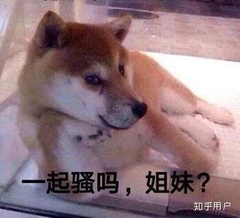如何以我妈逼我去相亲,相亲对象竟然为开头,写一篇甜甜文