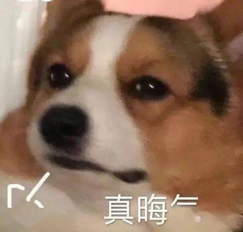 搞笑聊天表情包i你在教我做事啊