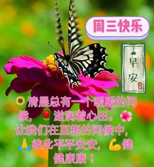 微信群发早晨好表情包图片大全早上好问候语表情动态图片