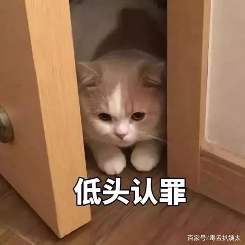 剑桥校花美到被李现紧盯割韭菜也搞迷信这一套