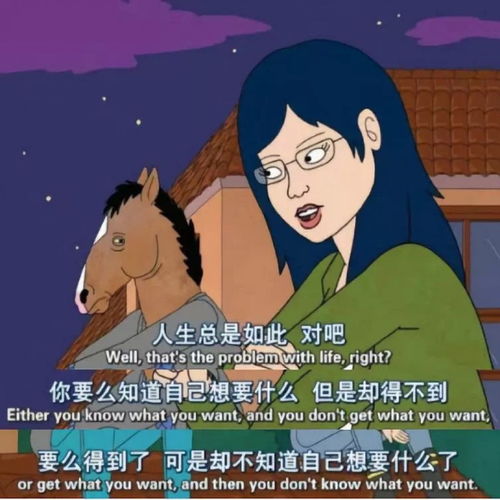 雪梅思君