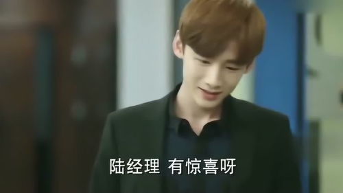 夏至未至颜末报复白敬亭买了几箱内衣快递给他,太搞笑了
