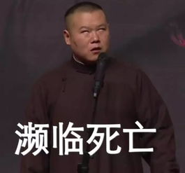 为什么我们如此迷恋爱马仕