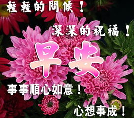 早上好图片最美温馨带祝福句子早上好问候语全集