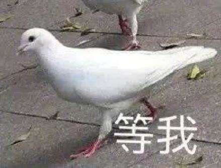 现在申通上海航空部到乌鲁木齐要几天