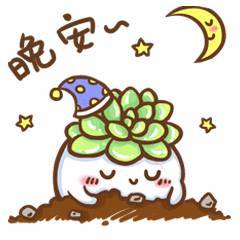 晚安的句子晚安的表情