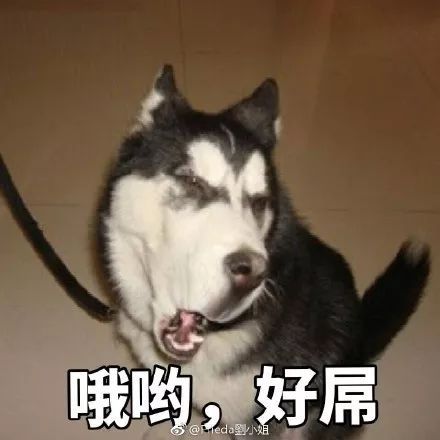 外卖小哥水上漂技能登场就问,还有哪儿他们送不了