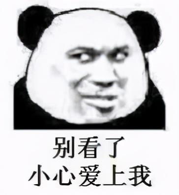 熊猫头斗图表情包合集别看了,小心爱上我