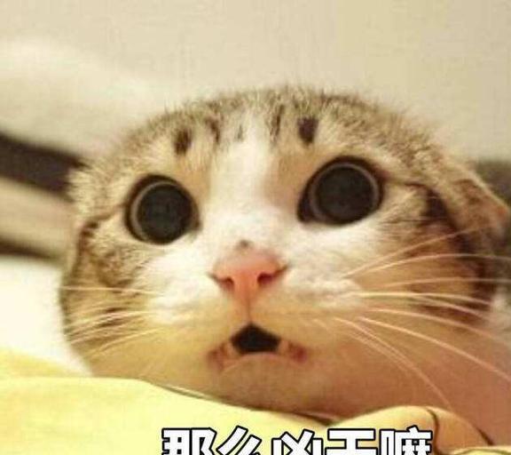 这6种猫很可怕,一般不建议普通人饲养,劝你想清楚再入手