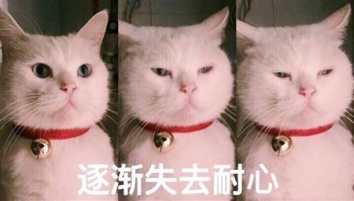 机构下面这个沙雕表情就是下粥的你们