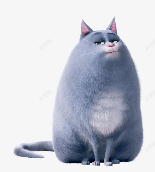 高傲的猫咪灵动眼神可爱萌萌哒创意素材卡通数字素材