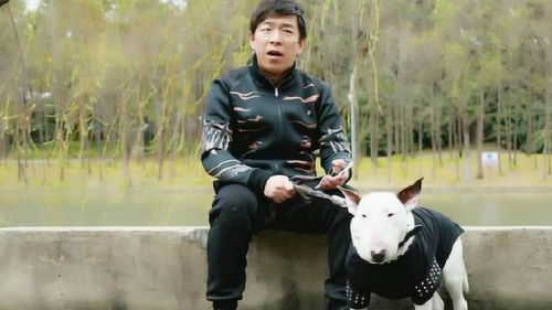 黄渤被丢到黄浦江边,一睁眼懵了那表情笑坏观众了,哈哈