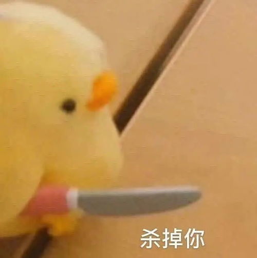 沙雕表情包大全搞笑图片孙一宁