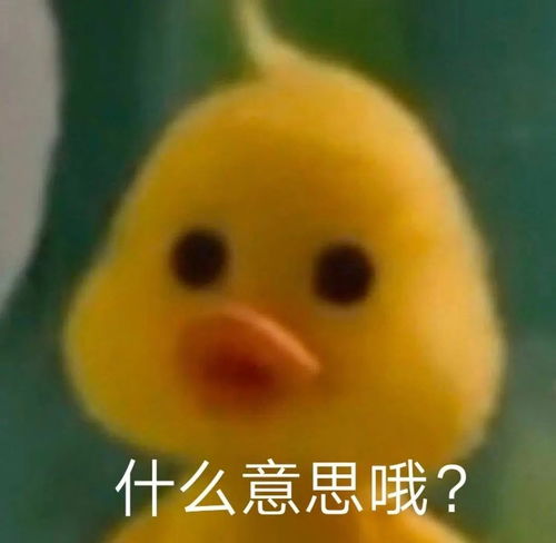 谁tm是下一个女顶流