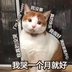 撩妹表情包有点污有点羞的撩妹表情包