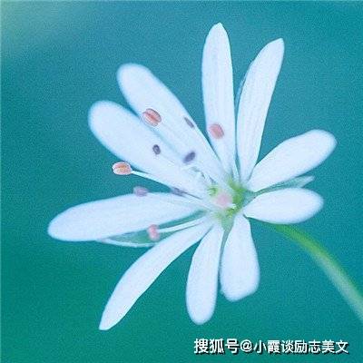 30-40岁微信头像风景女头像