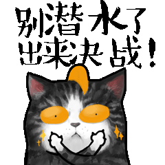 吾皇万睡表情包带字一猫一狗搞笑带字表情包