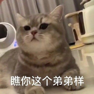 搞笑表情包拿图片瞧你这个弟弟样