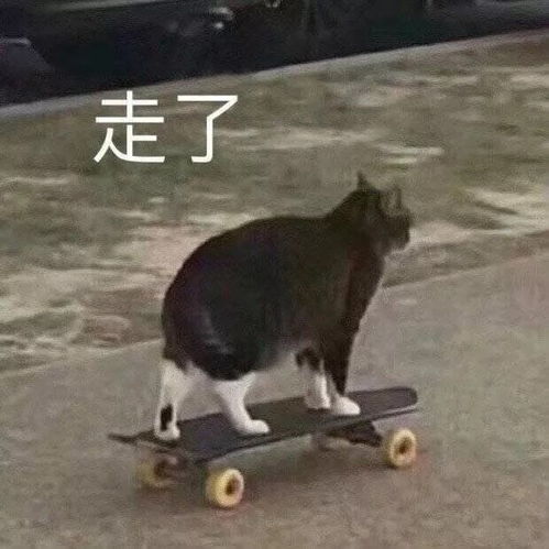 表情包难道菜就不能打游戏吗